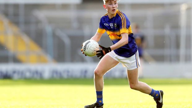 Tipperary’s Mark Stokes in action last year: his hips have been worn down through sheer overuse. Photograph: Tommy Dickson/Inpho