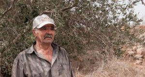Mohammed Sadiq Yaseen, an olive farmer from Anin, a village straddling the separation barrier in the northwest of the West Bank. Photograph: Niall Sargent