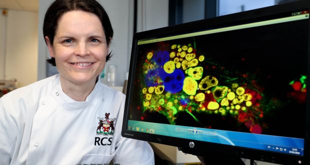  Prof Sally-Ann Cryan is the senior author on a study that has developed a new treatment for tuberculosis. Photograph: Maxwell