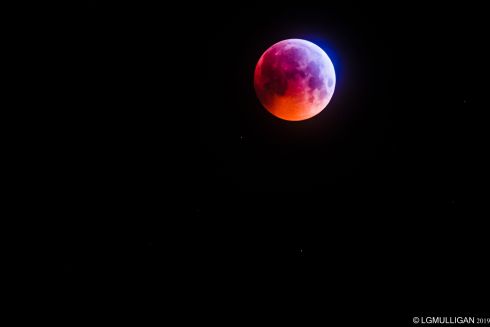 'Before the Darkness': Super blood wolf moon in Artane, Co Dublin. Photograph: Liam Mulligan