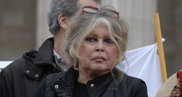 Brigitte Bardot makes a brief appearance at an animal rights demonstration. She runs the Brigitte Bardot Foundation for the welfare of animals. Photograph by John van Hasselt/Getty Images