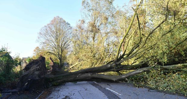Irish winters are set to be wetter though the number of storms will decrease, say scientists. Photograph: AFP/Getty Images