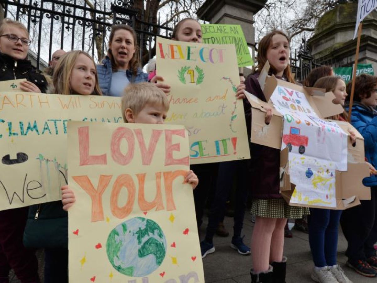 zwaan Verzorger Huidige School climate protests: Thousands of children to skip class on Friday