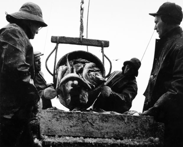 Sheila’s brush: Newfoundland fishermen would wait for the first snowstorm after St Patrick’s Day to pass before going back out to sea. Photograph: NFB/Getty