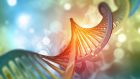 Genetic counselling is about trying to explain the condition, how it’s inherited and to explain any genetic testing results. Photograph: iStock