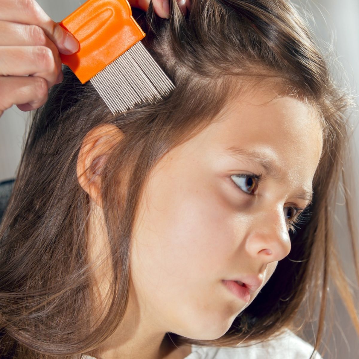 How to get rid of head lice in long hair What Is The Best Way To Tackle Head Lice