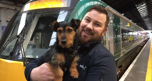 Hamish the Irish Rail dog reunited with 