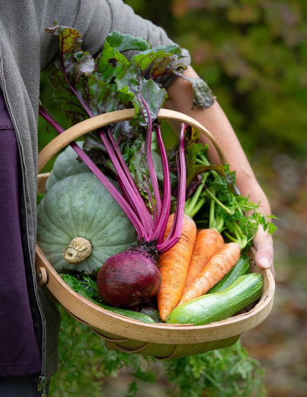 A basket of vegetables. Photograph: Ben Russell