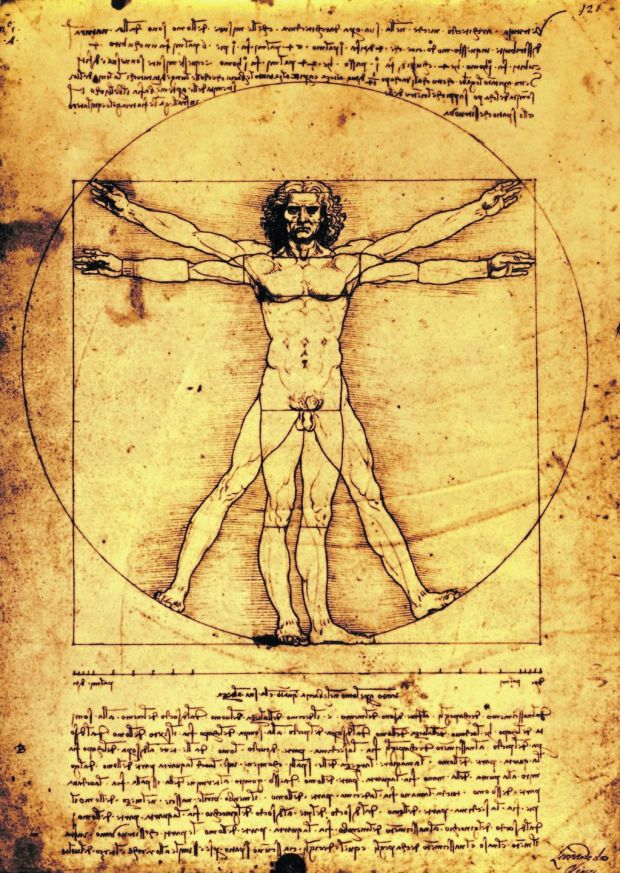 Proportions of the human figure, c 1492 (Vitruvian Man) (pen & ink on paper). Image: Leonardo da Vinci/The Bridgeman Art Library