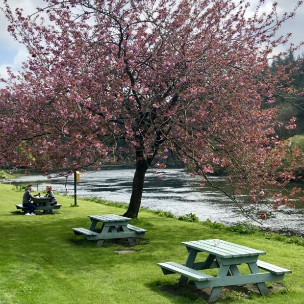 Picnic tables at the Mullicháin Cafe in St Mullins