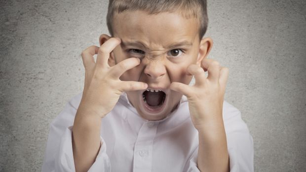 Childhood aggression: 'We began to hear parents saying ...