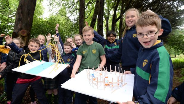 ‘We were blown away by how many ideas they had.’ Above, children who played a part in the design process to create a new play space at Fernhill Park and Gardens. Photograph: Alan Betson