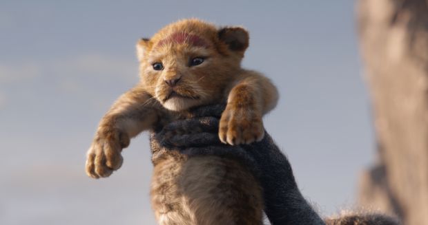 The Lion King: out on Friday, July 19th
