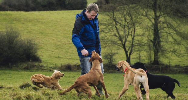 Chris Hanlon: ‘My me-time is to take two or three of my own dogs for a run three times a week.’