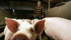 It is proposed  the four cent levy will come into force at the start of September and be collected from the country’s pig-slaughtering plants. Photograph: Alan Betson 