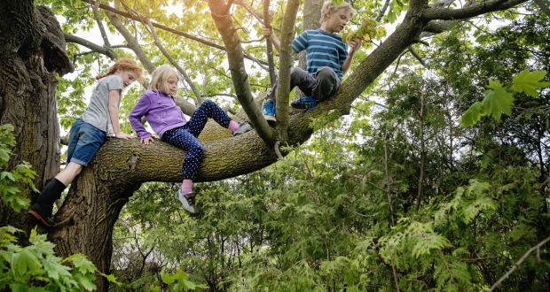 Child's play: how risky activity is vital to learning how to be safe