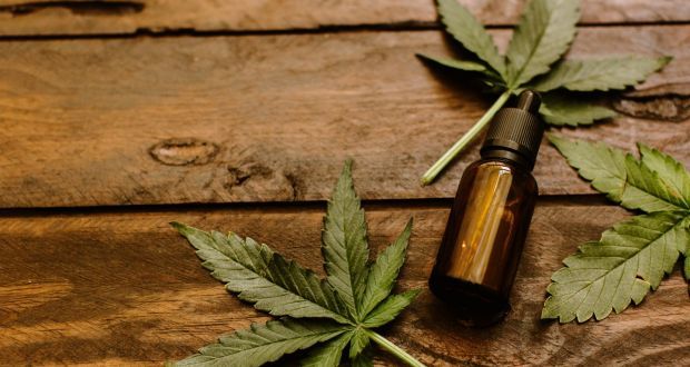 Proponents of CBD say it helps with anxiety, inflammation, pain and a host of other ailments. Photograph: Getty