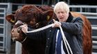  Britain’s prime minister Boris Johnson with a bull during a visit to Darnford Farm near Aberdeen, Scotland. Photograph: Andrew MilliganAFP/Getty