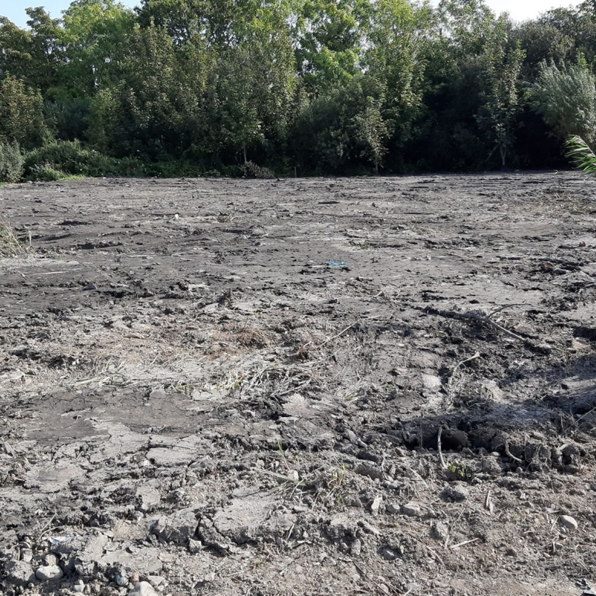 Cyclops vandring Latterlig Ecologists outraged as Dublin nature reserve is 'flattened like a car park'