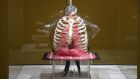 An exhibit at Plastic: Can’t Live With It, Can’t Live Without It, at Dublin’s Science Gallery. Photograph: Nick Bradshaw/The Irish Times