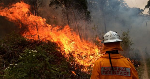 Rural Fire Service firefighter works to contain a bushfire that spread from the Gospers Mountain fire, in Colo Heights, New South Wales, Australia, November 16 2019. Photograph: Jeremy Piper/EPA