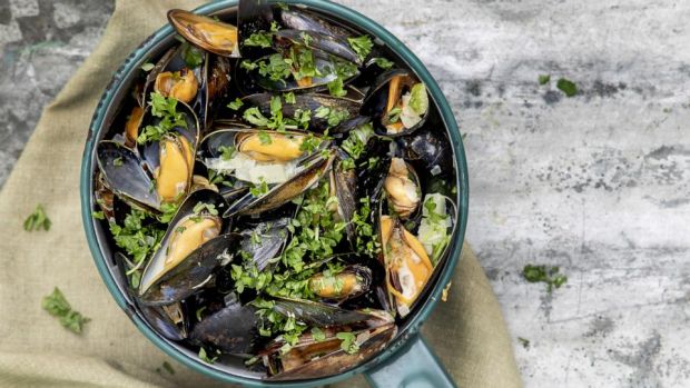 Mussels with fennel and pernod