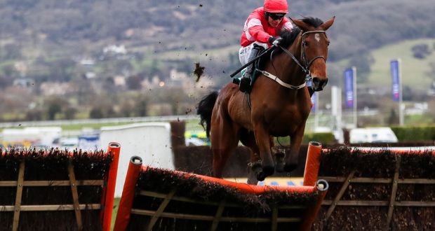 Laurina made an impressive start to her career over fences at Gowran Park on Saturday. Photograph: James Crombie/Inpho