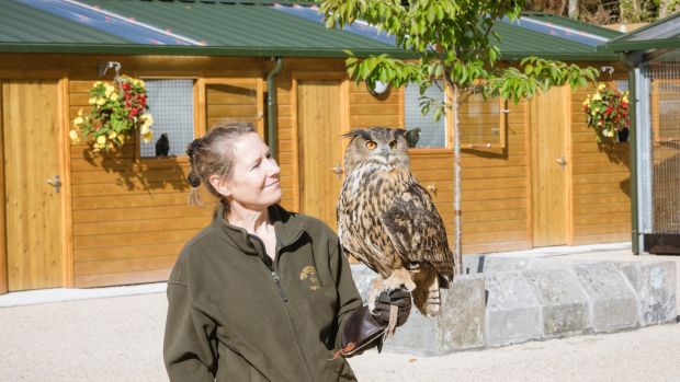 “I’m up early the next day to try falconry. The feeling of such an extraordinary creature fly towards your gloved hand, to alight like a whisper at the promise of a bit of dead mouse, is incredible.”