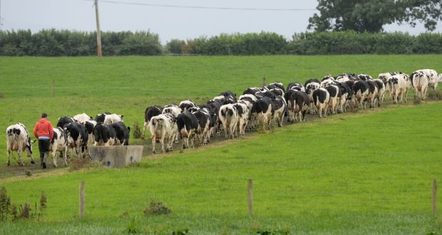 There is no compelling reason to give Ireland’s agricultural emissions a free pass. The brutal maths mean all sectors need to reach net zero greenhouse gas emissions within a generation. Photograph: Alan Betson 