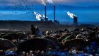 Pigs feed at a landfill site in front of a power station near the city of Bitola in the Republic of North Macedonia. Photograph: Georgi Licovski