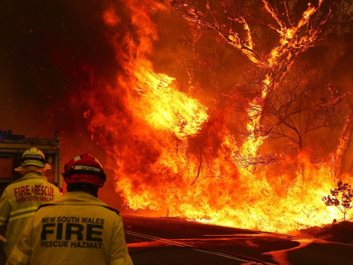 Australian Bush Fires Were Not Caused By Climate Change Alone