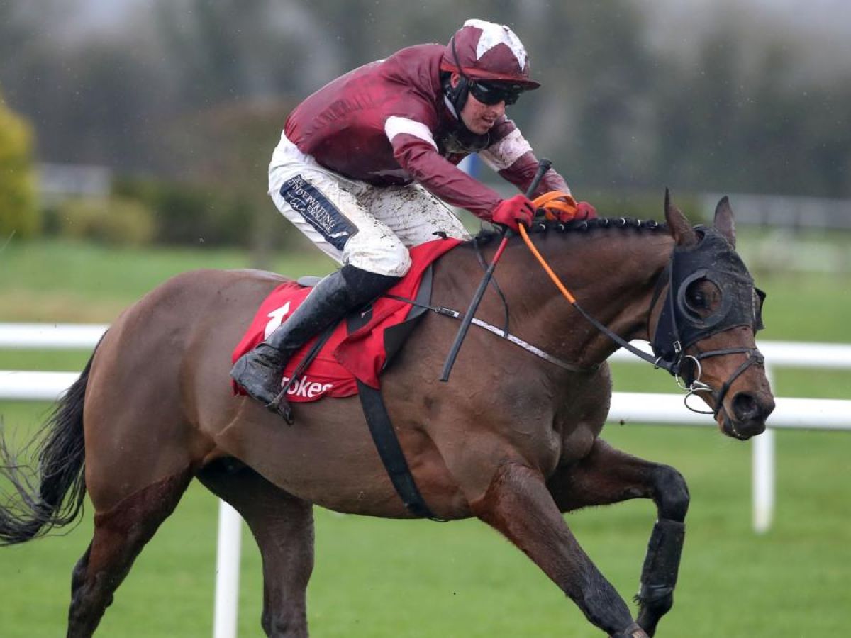 Tiger Roll On Track For Aintree After Solid Run In Navan