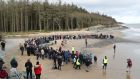 A gathering of 400  watching   the release of four grey seal pups back into the sea following their rehabilitation at Seal Rescue Ireland. Photograph:  Nick Bradshaw 