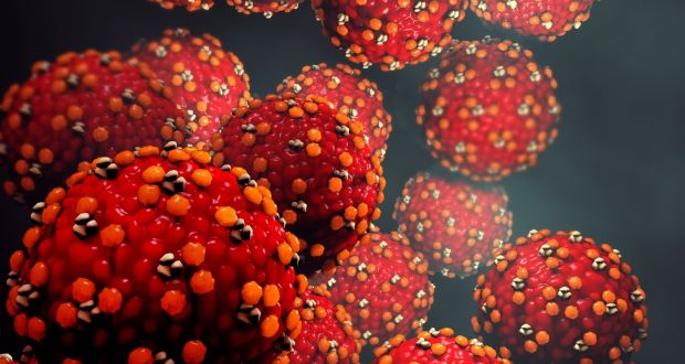 The first case of rubella in Ireland in more than a decade has been confirmed at a company on the northside of Cork city.