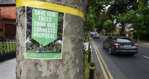Yellow ribbons on trees lining St Mobhi road on Dublin’s northside, protesting the Bus Connects proposal, last year. Photograph: Dave Meehan