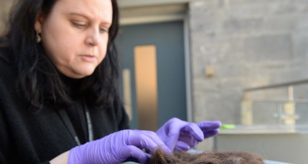 Brenda Malone, curator of IRA Intelligence File at the National Museum of Ireland, with hair believed to have been sheared, and found in the possession of Michael Barry when arrested in 1920, is among items which appear in the exhibition Irish Wars 1919 to 1923 at the National Museum of Ireland, Collins Barracks, Dublin. Photograph: Dara Mac Dónaill 