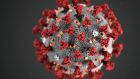  Ultrastructural morphology exhibited by coronaviruses.  Photograph:  Lizabeth Menzies/Centers for Disease Control and /AFP via Getty 