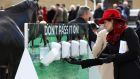 Going gooey: a racegoer using a hand santiser at Cheltenham racecourse to help curb the spread of coronavirus. Photograph: Michael Steele/Getty Images