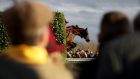 There was a crowd of 56,943 at Cheltenham on Wednesday. Photograph: Dan Sheridan/Inpho