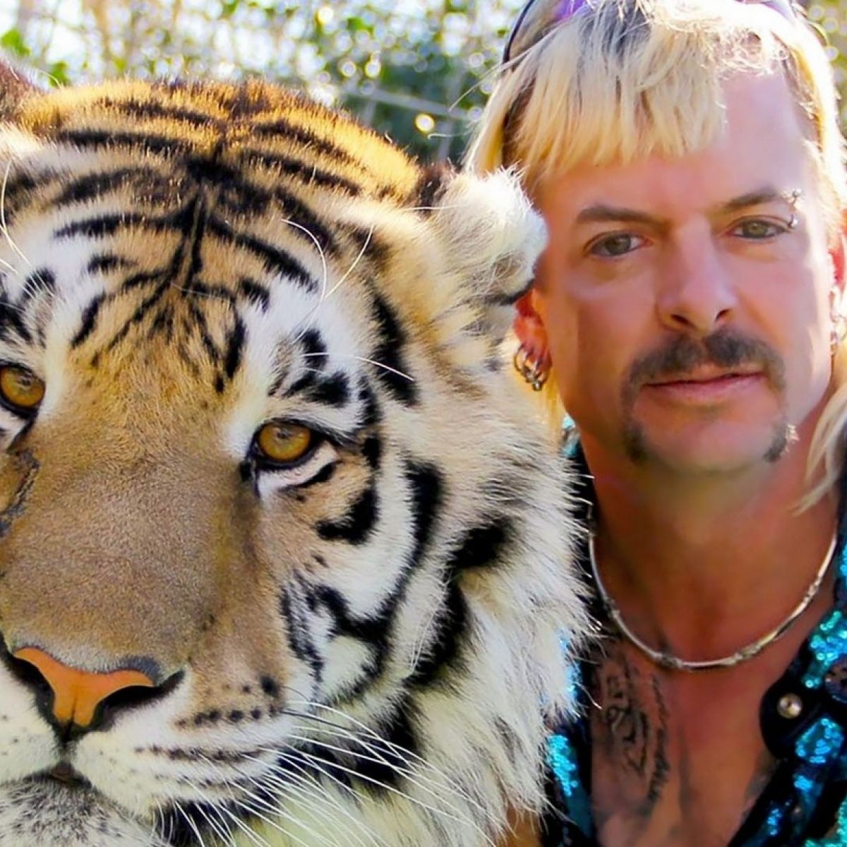 Tiger King You Wait Years For Just One Animal Collecting Weirdo