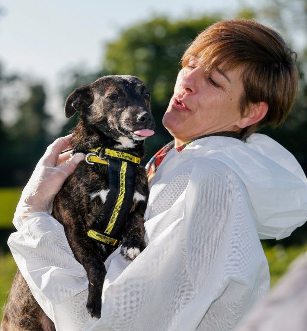 Clare McCormack of the Dogs Trust with new arrival Dara at the charity’s Finglas Rehoming Centre. Photograph: Crispin Rodwell/The Irish Times