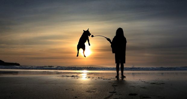 A youngster and her puppy, Jack, on the beach at  Portrush   in Co Antrim as the sun goes down. Due to the coronavirus pandemic, visitors from outside the area have been warned to stay away from the causeway coast. Photograph:  Margaret McLaughlin