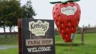 Keelings said it was proud of its relationship with its seasonal employees. Photograph: Alan Betson