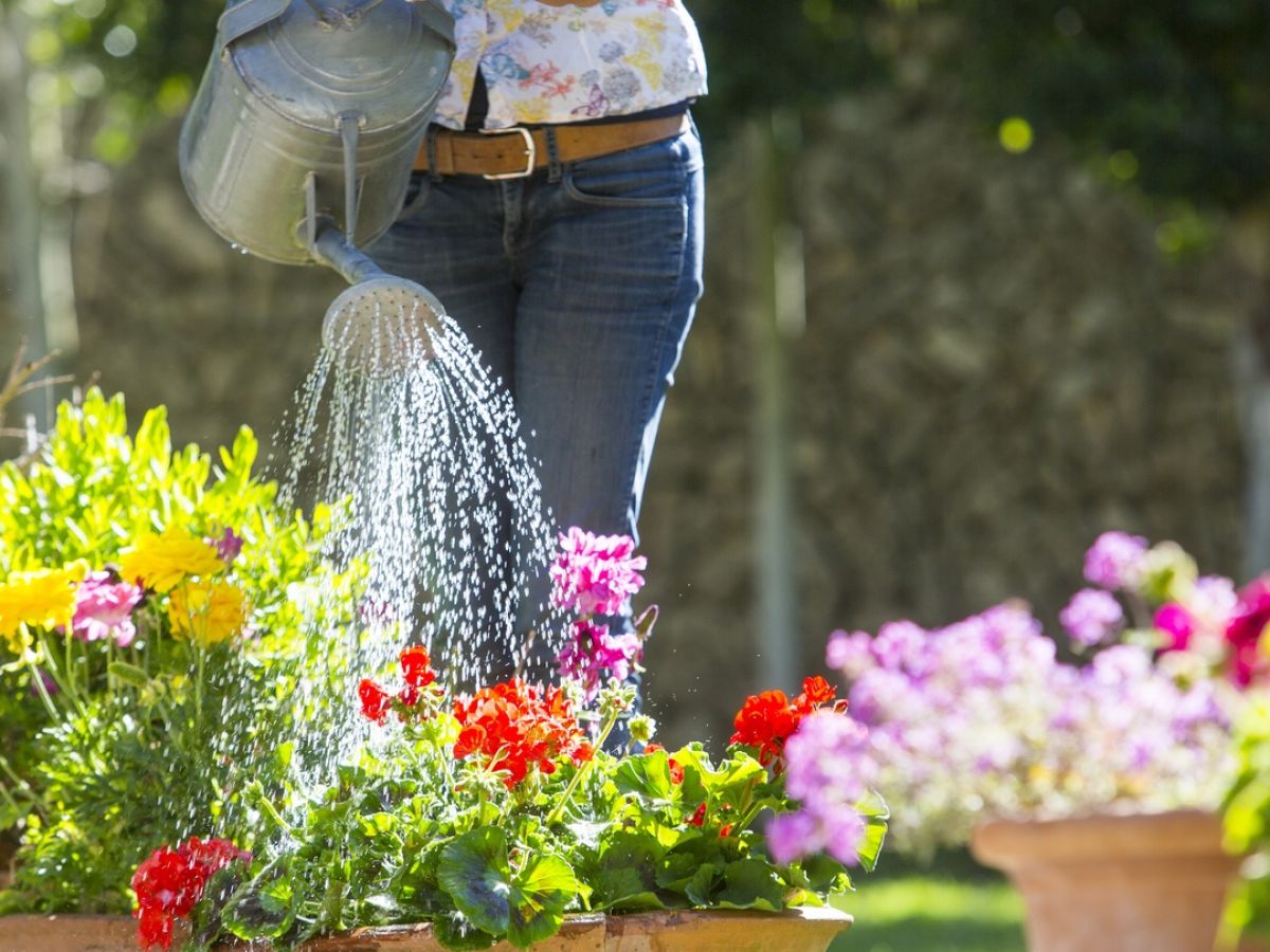 Patio pleasers: 10 tips for summer plant pots that will flower all season  long