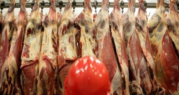 There are some 600 confirmed cases of Covid-19 at meat processing plants. Photograph: Bloomberg