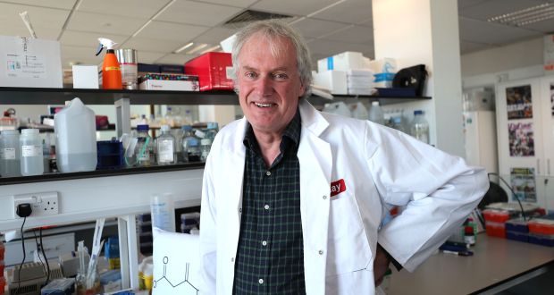 Prof Luke O’Neill, director of Trinity Biomedical Sciences Institute. Photograph: Nick Bradshaw 