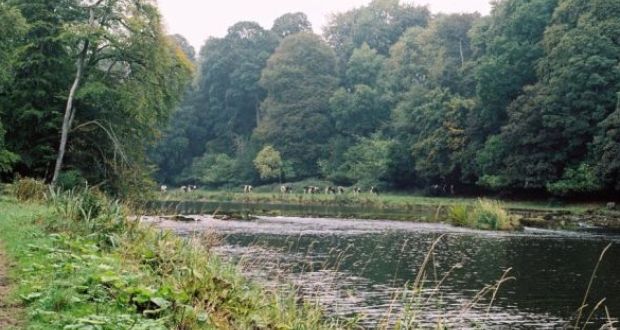 Search Continues In Drogheda For Young Boy Believed To Have Fallen Into River Boyne