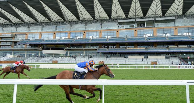 Santiago, ridden by Ryan Moore, wins the Queens Vase during Day Four of Royal Ascot. Photo: Edward Whitaker/Pool via Getty Images