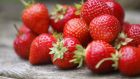 ‘The best strawberries need nothing, they can be eaten straight up in the car. The sight of them should make you salivate immediately.’
