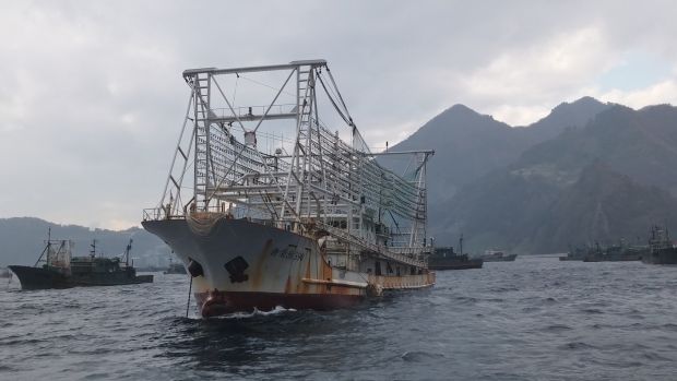 Chinese squid ship located in the port of Ulleung island in South Korean waters. Photograph: Fábio Nascimento